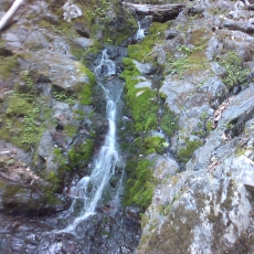150605_p18.jpg