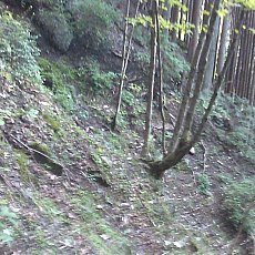 150905_p03.jpg