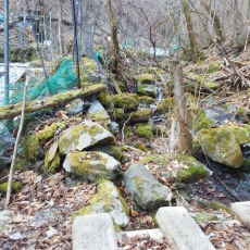 170320_p06.jpg