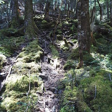 170604_p17.jpg