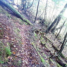 171008_p08.jpg