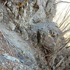 190420_p03.jpg