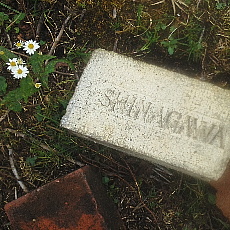 190921_p09.jpg