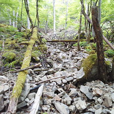 200605_p32.jpg