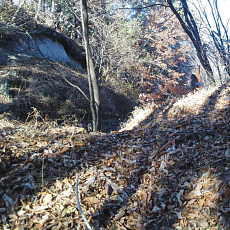 201117_p08.jpg