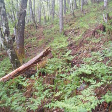 210522_p01.jpg