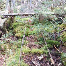 210916_p39.jpg