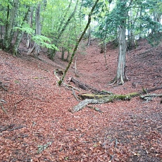 220515_p08.jpg