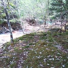 220528_p36.jpg