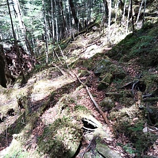 220528_p49.jpg