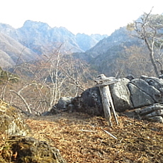 190323_p37.jpg