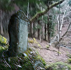 221127_p24.jpg