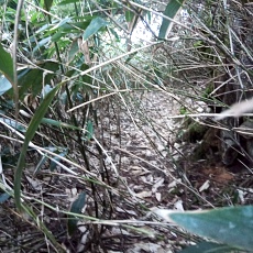 241112_p13.jpg