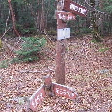 090926_n01.jpg