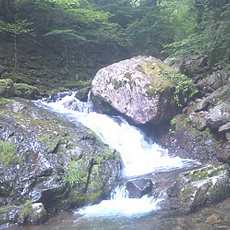 110615_p03.jpg