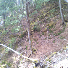 120430_p03.jpg