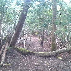 140922_p18.jpg