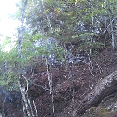 140922_p24.jpg