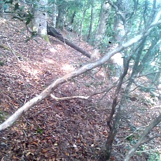 141011_p10.jpg