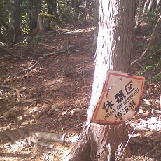 141011_p21.jpg