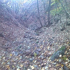 141103_p18.jpg