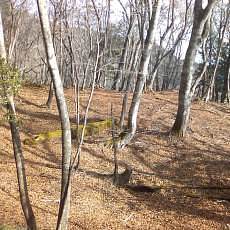 151121_p14.jpg