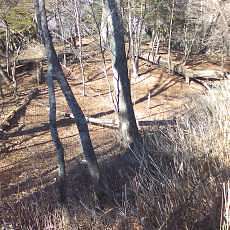 151230_p07.jpg