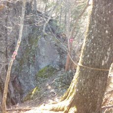 160329_p11.jpg