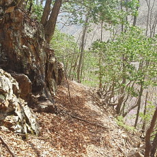 180412_p36.jpg