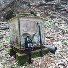 200605_p39.jpg