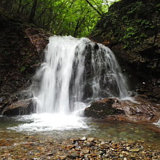 200621_p01.jpg
