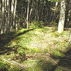 210916_p26.jpg