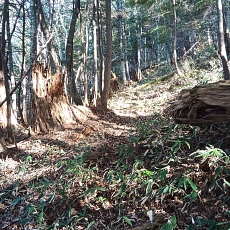 221112_p26.jpg