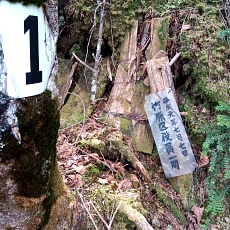240612_p30.jpg