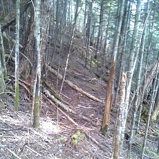 130606_p03.jpg