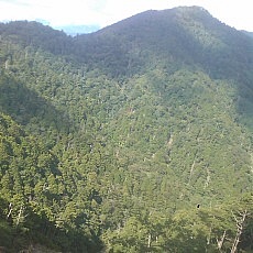 140913_p28.jpg