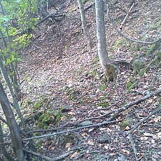 141020_p13.jpg