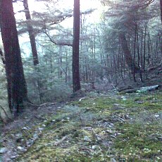 150523_p03.jpg