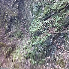 150905_p12.jpg