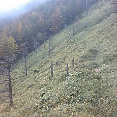 151011_p02.jpg