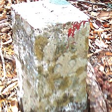 151121_p15.jpg