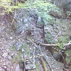 160603_p24.jpg