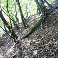 160925_p09.jpg