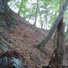 161010_p12.jpg