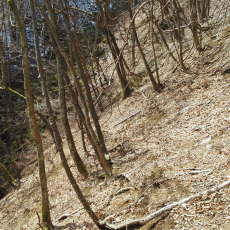 170304_p04.jpg