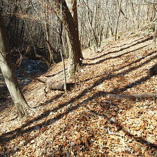 190302_p06.jpg