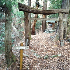 190323_p33.jpg