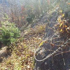 191104_p14.jpg