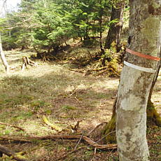 200024_p15.jpg