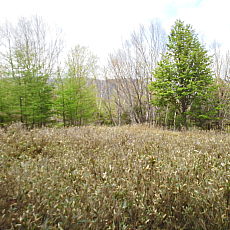 200024_p24.jpg